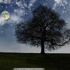 激情舔逼艹逼视频
